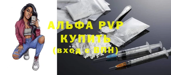 дмт Нея