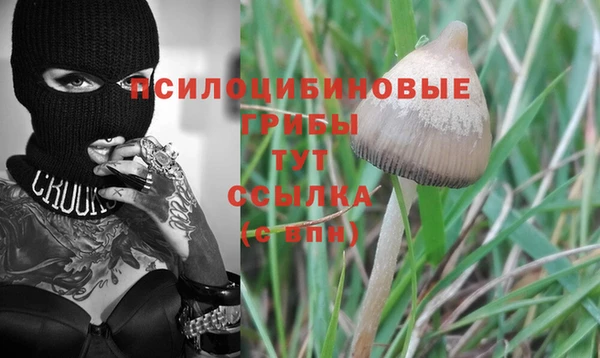 марки lsd Новокубанск