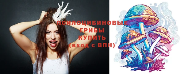 ГАЛЛЮЦИНОГЕННЫЕ ГРИБЫ Новодвинск