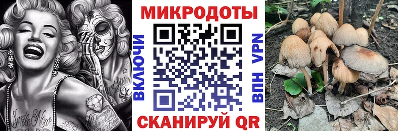 Галлюциногенные грибы GOLDEN TEACHER  ОМГ ОМГ зеркало  Татарск 