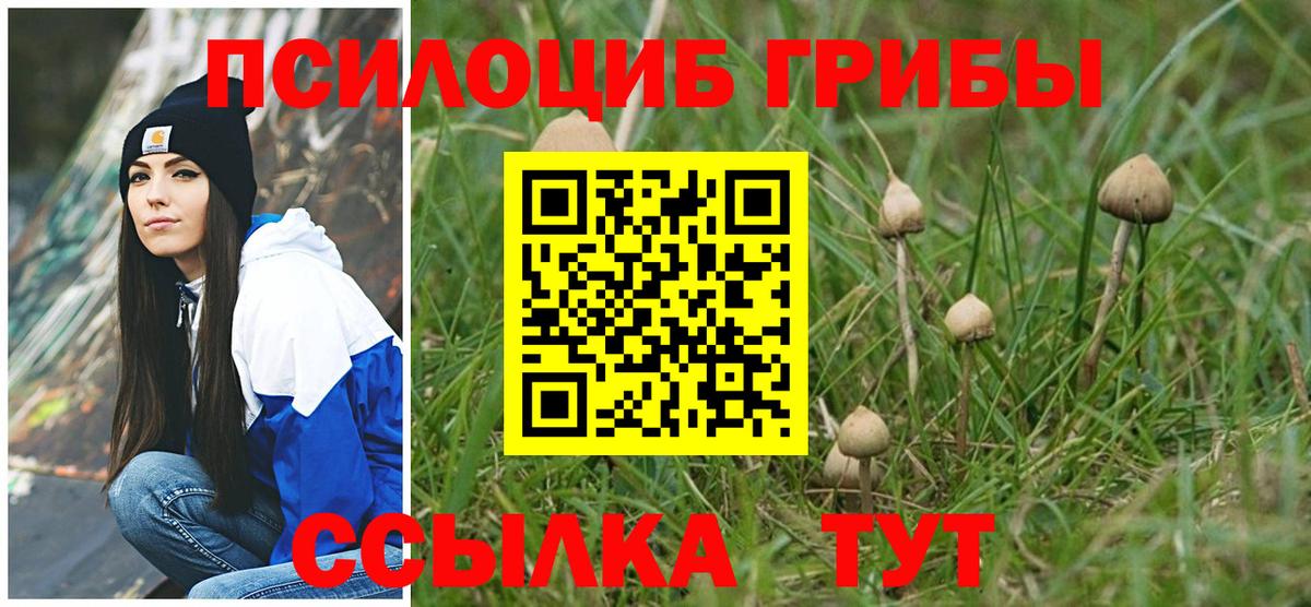 Галлюциногенные грибы прущие грибы  цены   Псилоцибиновые грибы прущие грибы  Татарск 